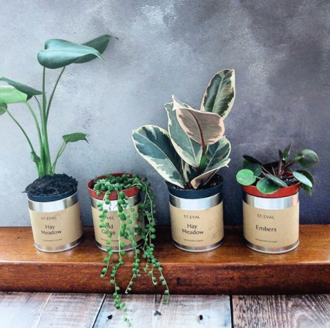 Disused Tin Candle Containers