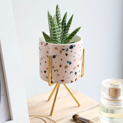 Terrazzo Print Mini Planter and Stand