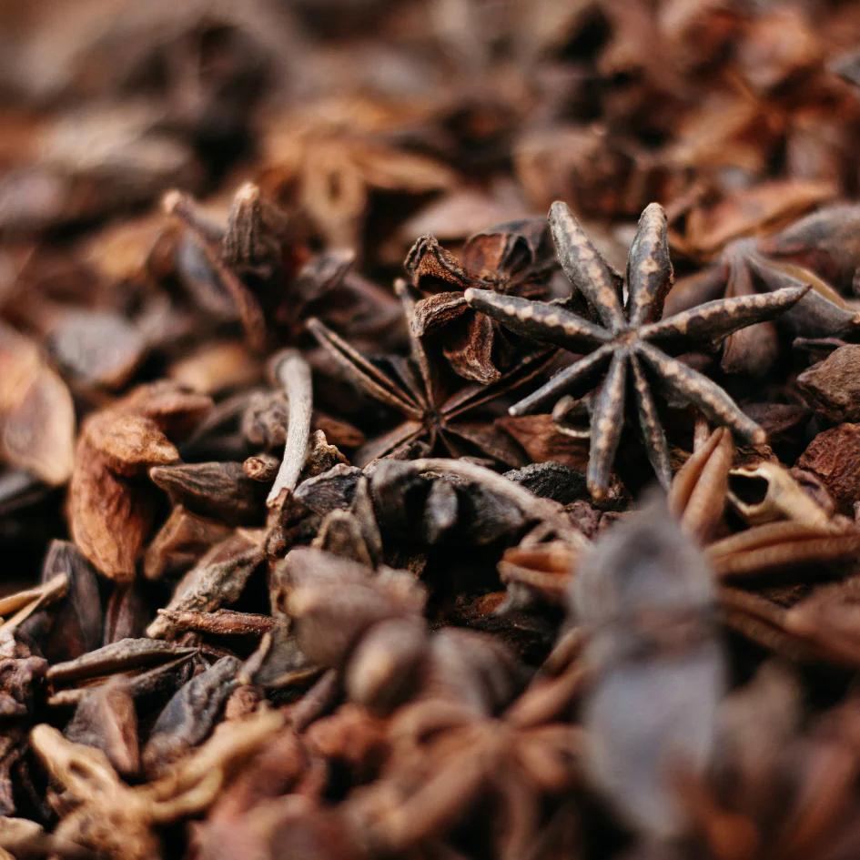 St Eval Orange & Cinnamon Reed Diffuser Stars of Anise