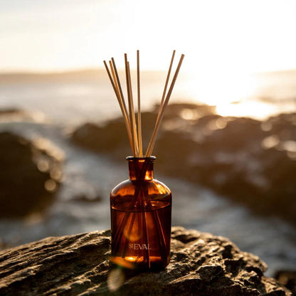 Sea Mist Reed Diffuser by St Eval