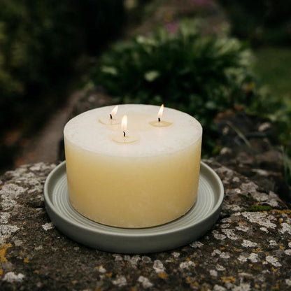 Thyme & Mint Scented Multiwick Candle