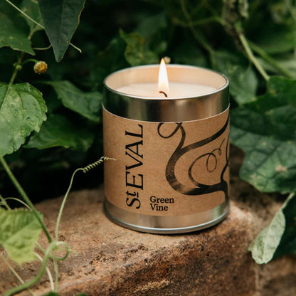 St Eval Green Vine Scented Tin Candle