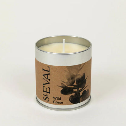 St Eval Wild Gorse Scented Tin Candle