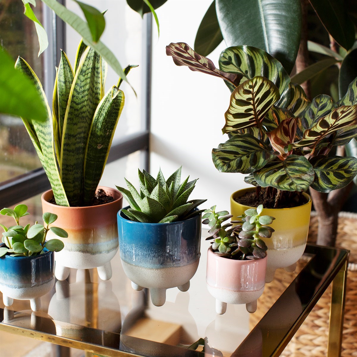 Mojave Glaze Planters by Sass & Belle